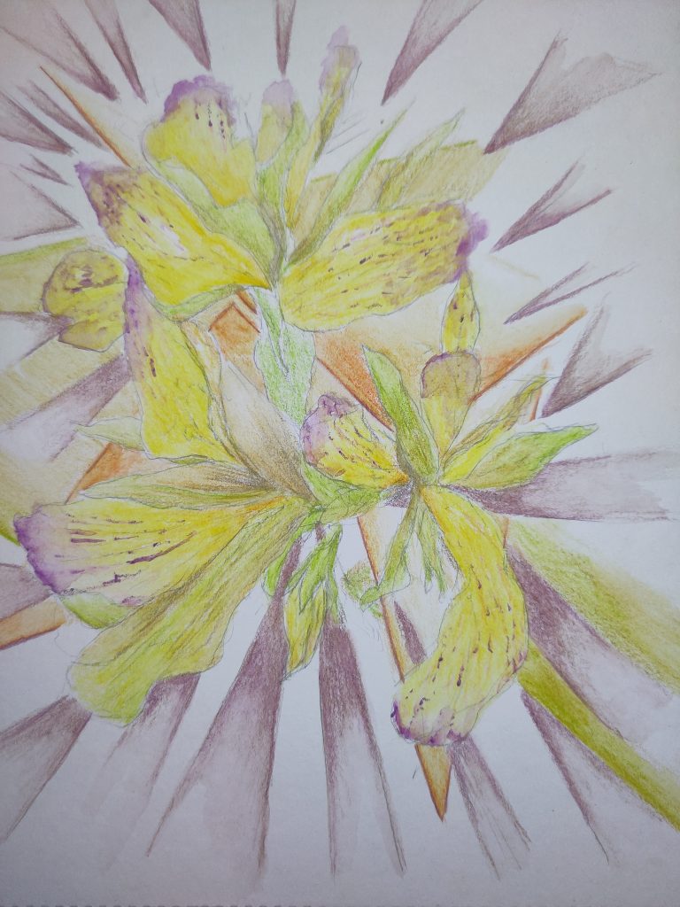 Aquarell – gelbe Blüten mit strahlenförmigen Linien in zarten Lila- und Grüntönen